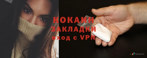 ешки Алексин