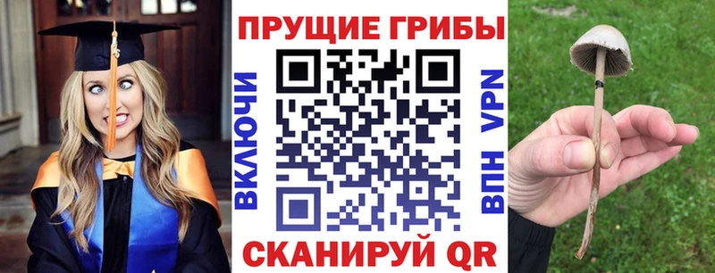 Псилоцибиновые грибы Cubensis  Нягань 